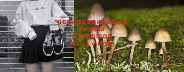метамфетамин Алексеевка