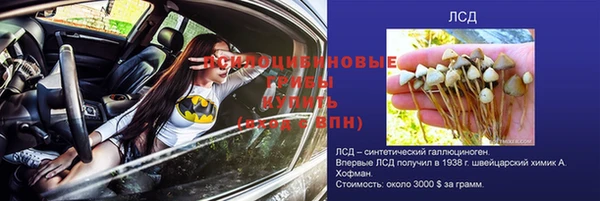 прущие крисы Алзамай
