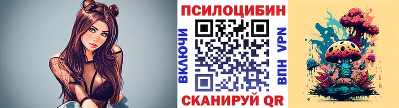 Псилоцибиновые грибы Cubensis  наркота  Кувшиново 
